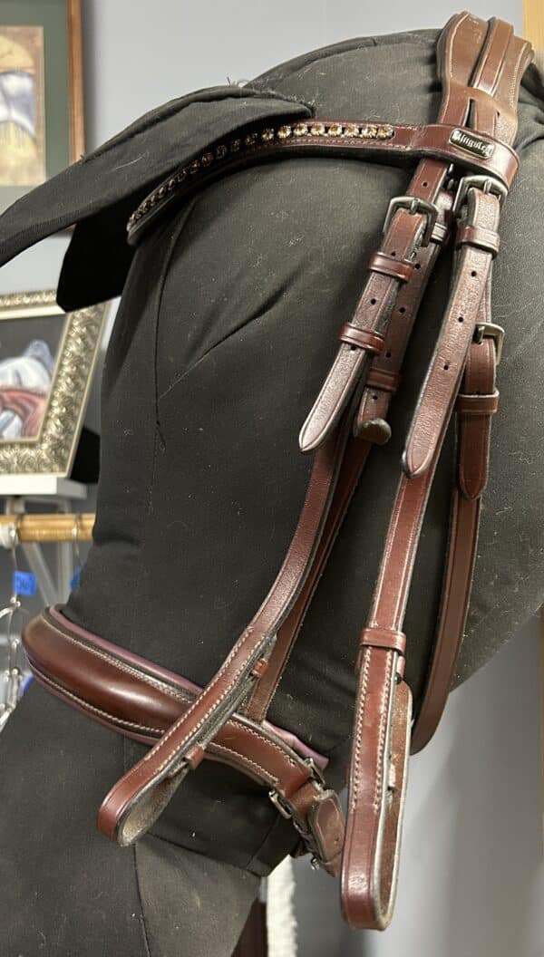 Kingsley Special Weymouth Bridle