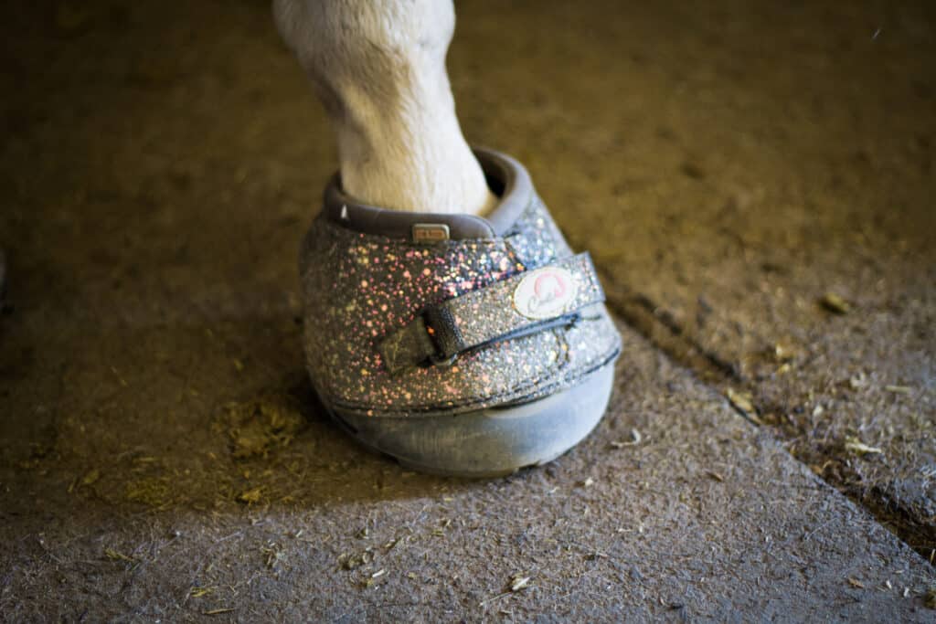 The Trainers Loft Horse Hoof Boots, Sparkly Bell Boot on White Horse
