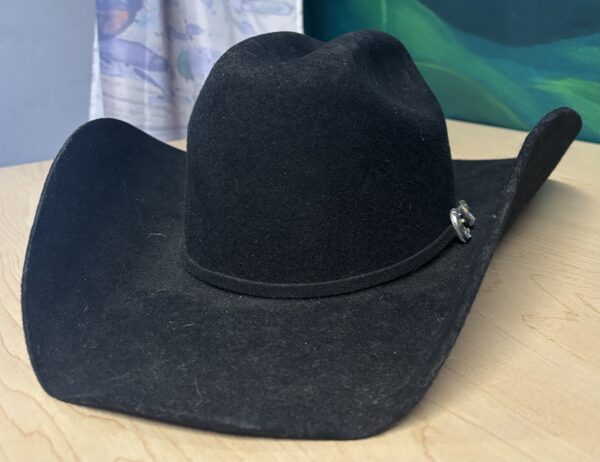 Bullhide Western Hat, Size 54 6 3/4