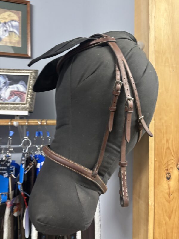 Plain Raised English Bridle, Cob