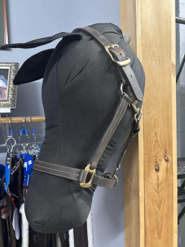 Leather Halter, Full
