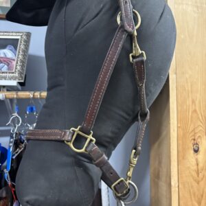 Leather Halter, Full