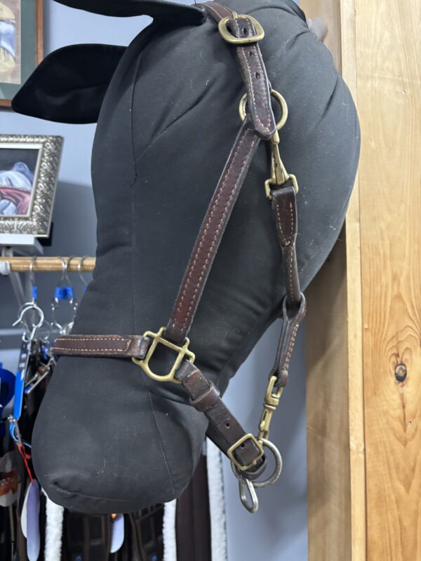 Leather Halter, Full