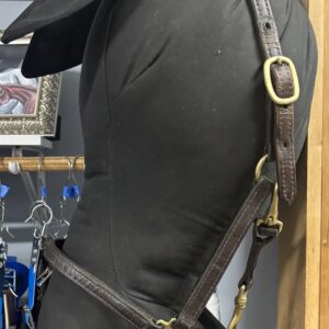 Leather Halter, Full