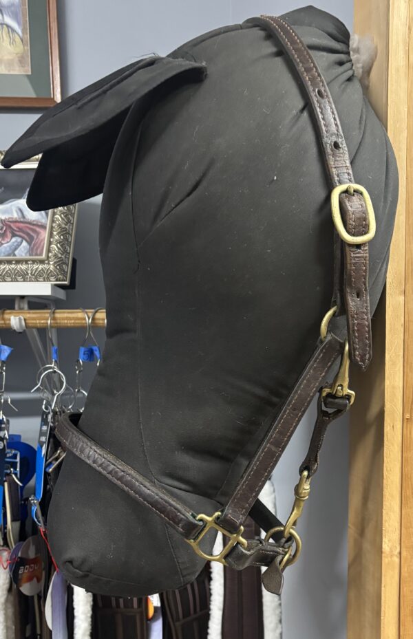 Leather Halter, Full