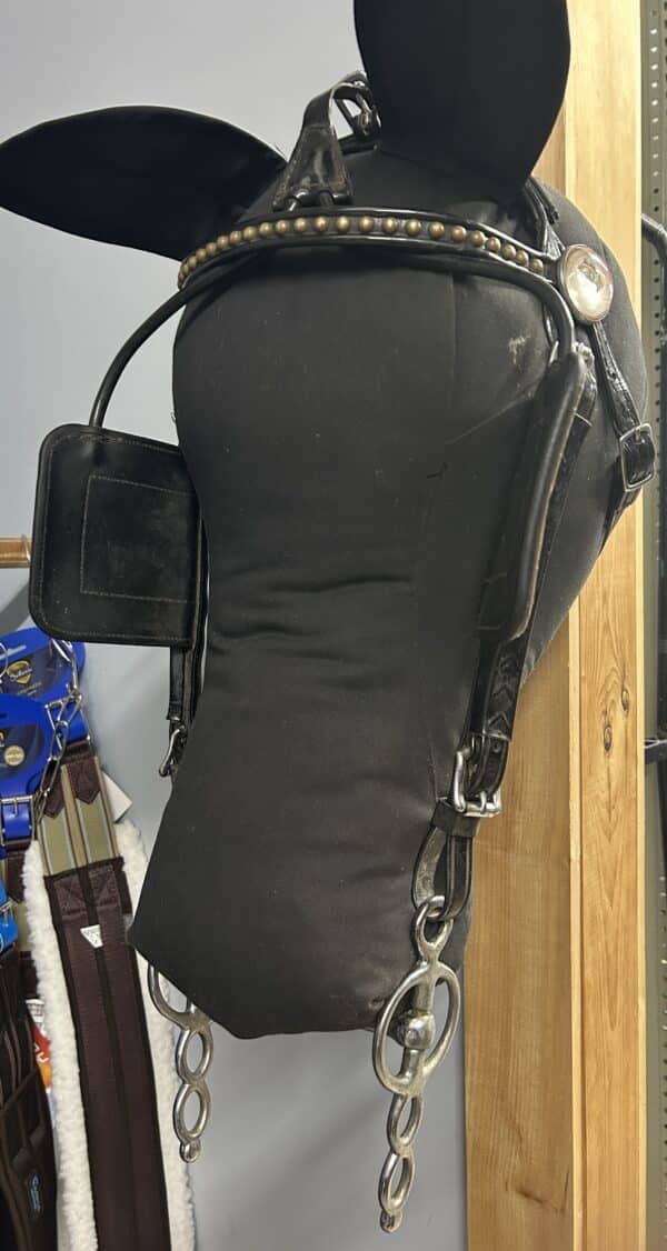 IMG_4147 Biothane Driving Bridle, Warmblood 2