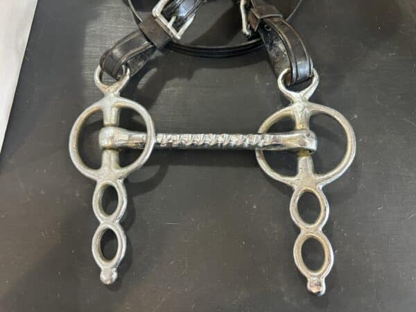 IMG_4148 Biothane Driving Bridle, Warmblood 3