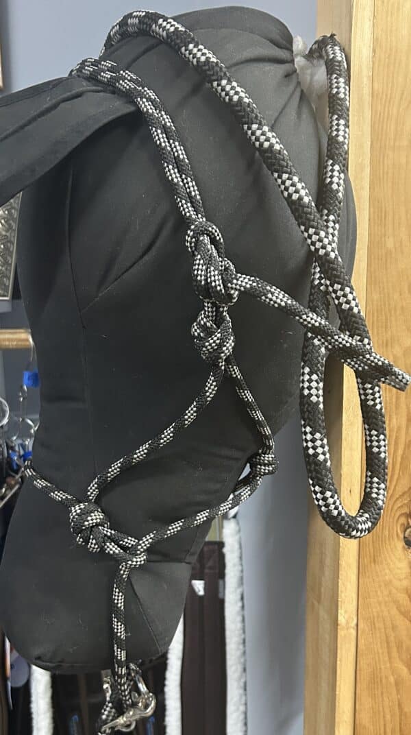 Rope Halter with Reins
