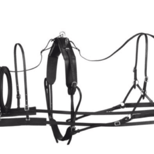 Royal King Leather Small Pony Harness