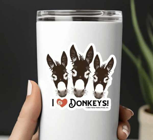 Screen Shot 2025-06-27 at 3.17.05 PM Screen Shot 2025-06-27 at 3.17.05 PM