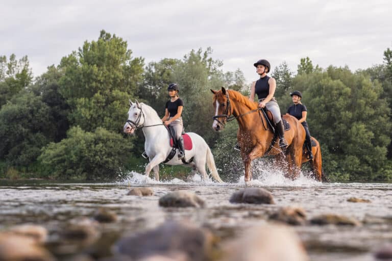 The Trainers Loft Equestrian Summer Apparel, Three rider girls crossing the calm river water riding their beautiful horses on the cloudy summer day. Concept of equestrian leisure activity.