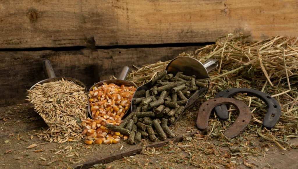 The Trainers Loft Horse Feed, Shovel spoons with forage ingredients, and balanced for horses