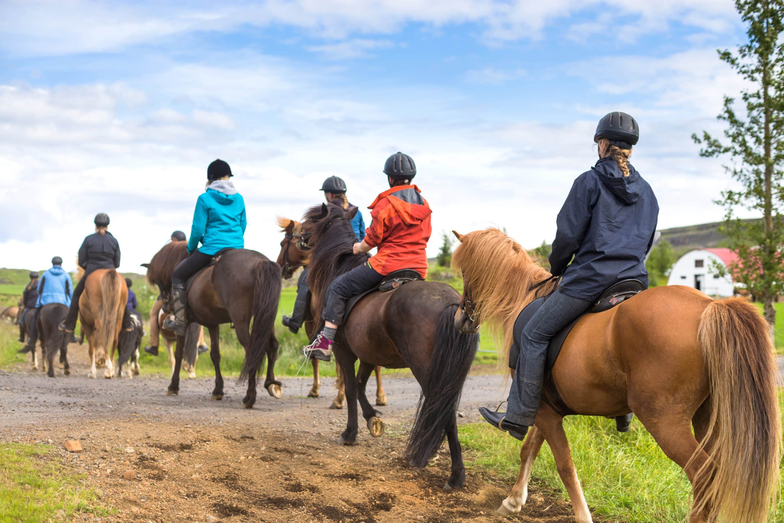 The Trainers Loft Trail Riding Gear. Group of horseback riders ride in Iceland