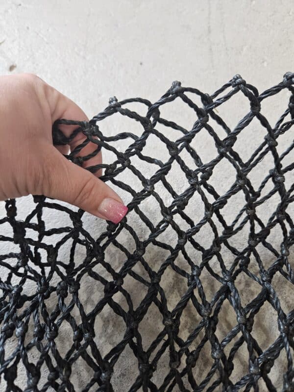 20250714_121726_resized (1) 20250714_121726_resized (1)