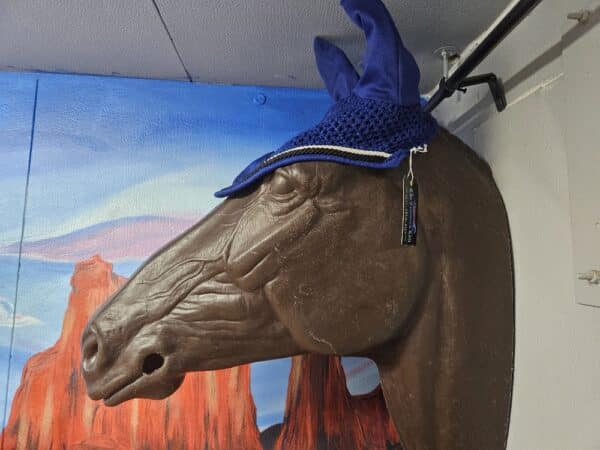 20250716_123515_resized 20250716_123515_resized