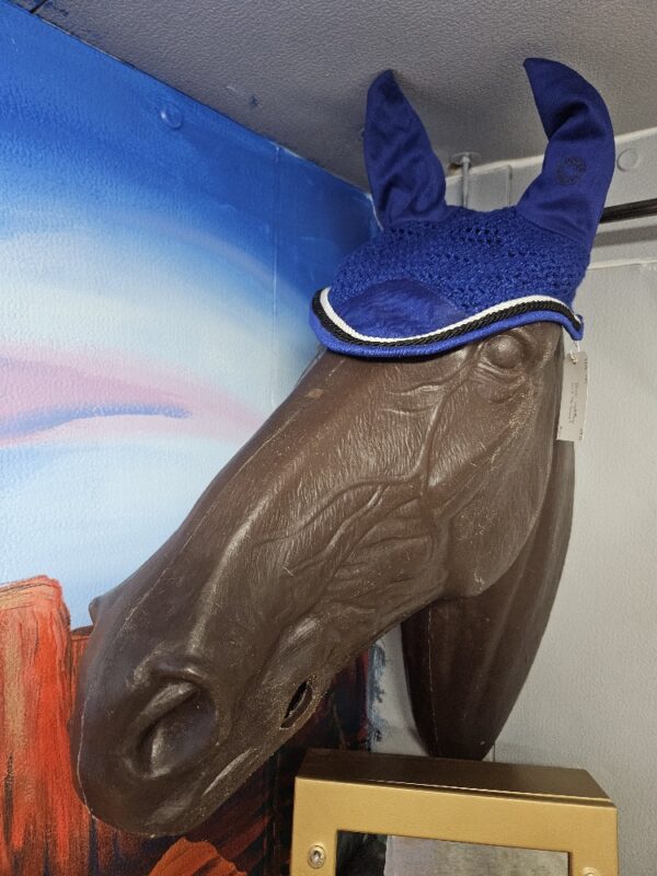 20250716_123559_resized 20250716_123559_resized