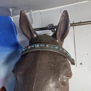browband 2