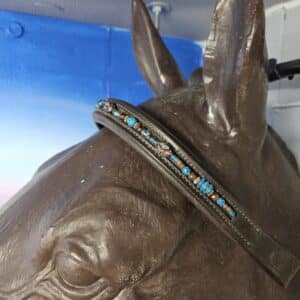 browband 1