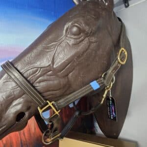 Brown Leather Halter