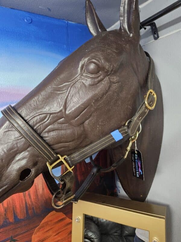 Brown Leather Halter