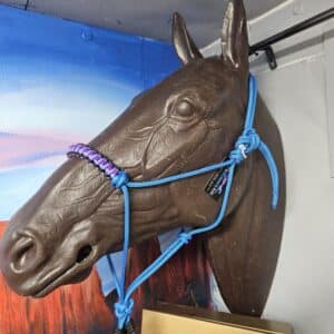 Blue Rope Halter With Lead