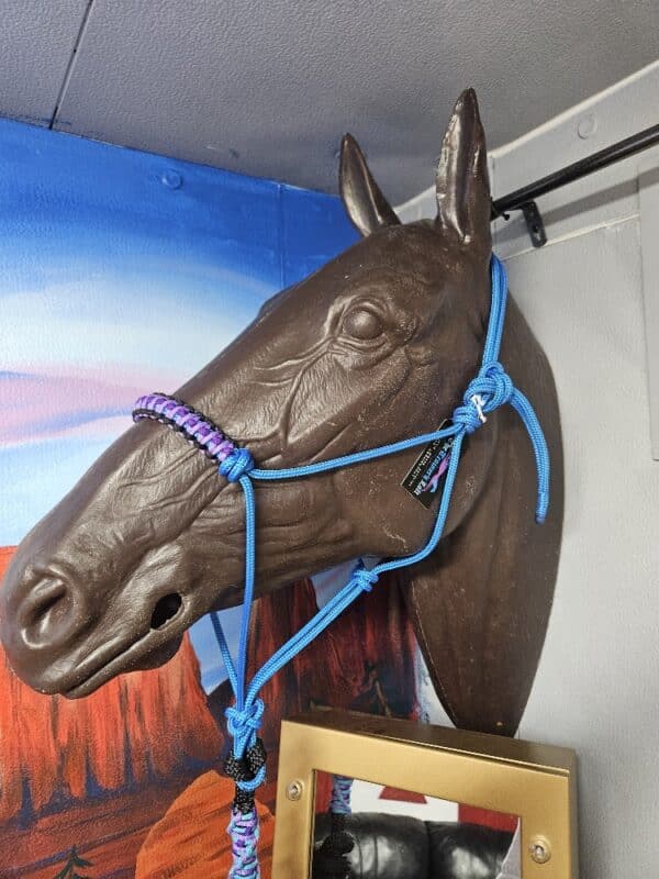 Blue Rope Halter With Lead