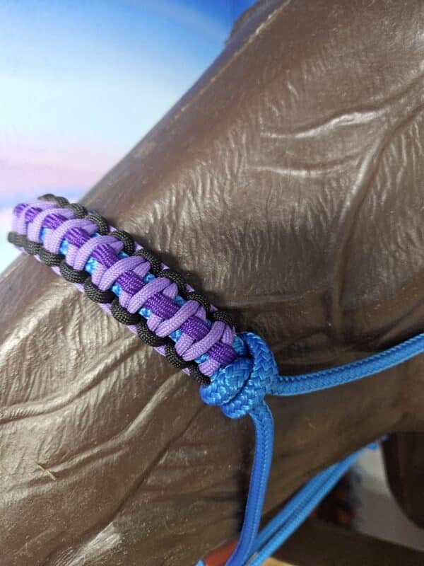 20250716_124251_resized 20250716_124251_resized