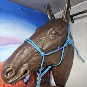 Blue Rope Halter