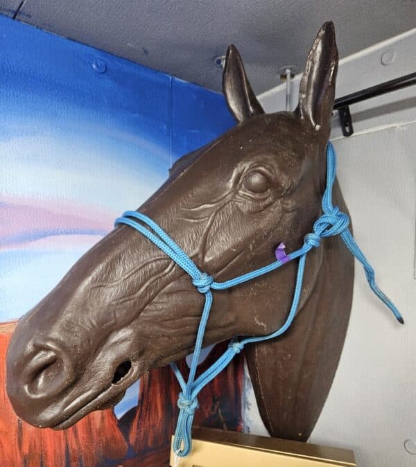 Blue Rope Halter