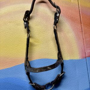 Western Mini Show Halter and Lead