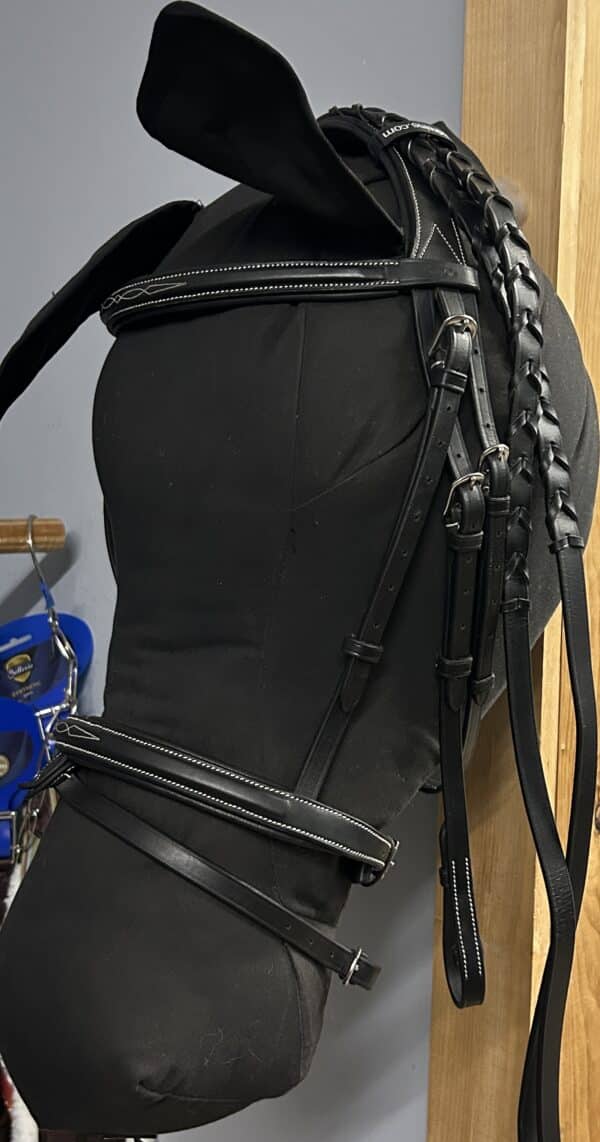ExionPro Anatomic Fancy Stitched Bridle with Reins