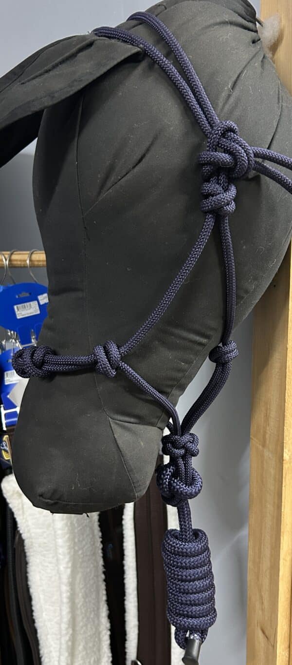 Rope Halter and Leadline, Full