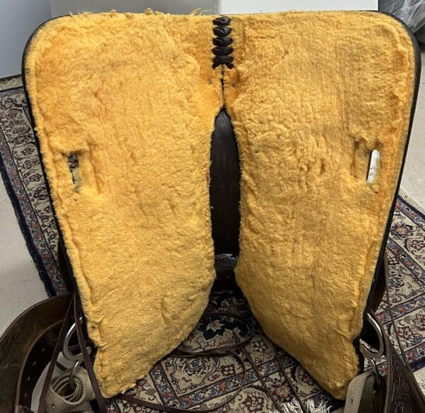 IMG_4496 Steele Mountaineer Saddle