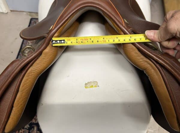 IMG_4528 2 IMG_4528 2