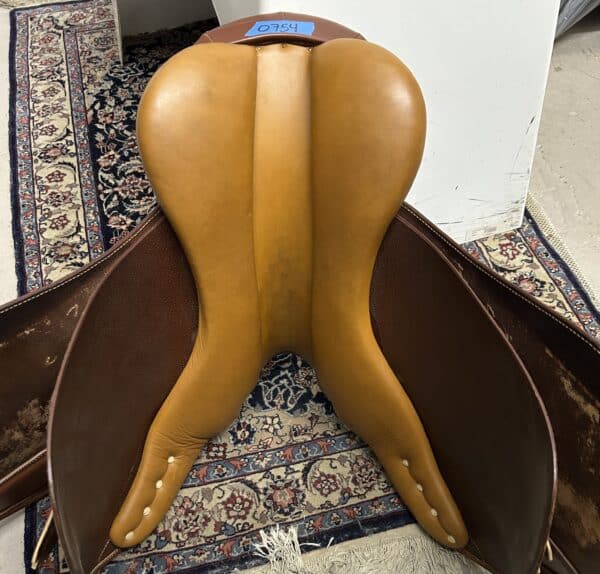 IMG_4529 2 IMG_4529 2