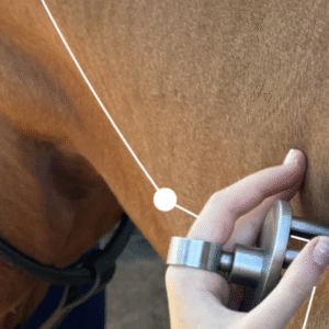 Sumchi6 Magnetic Massager