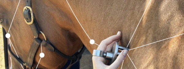 Sumchi6 Magnetic Massager