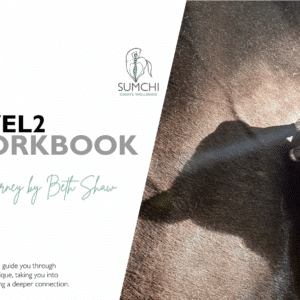 SUMCHI Level 2 Workbook