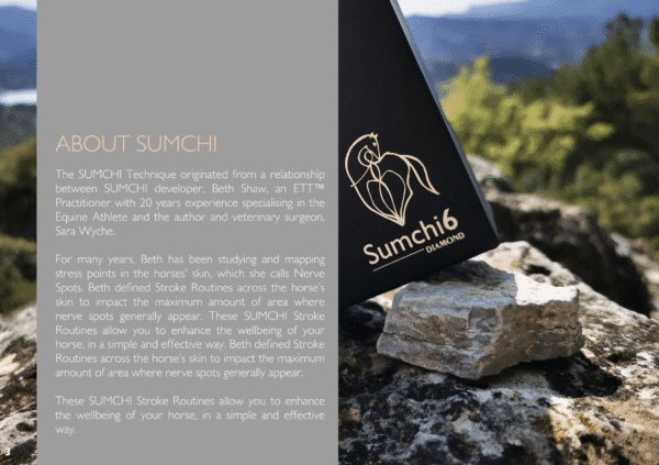 Screen Shot 2025-07-27 at 12.50.06 PM Screen Shot 2025-07-27 at 12.50.06 PM