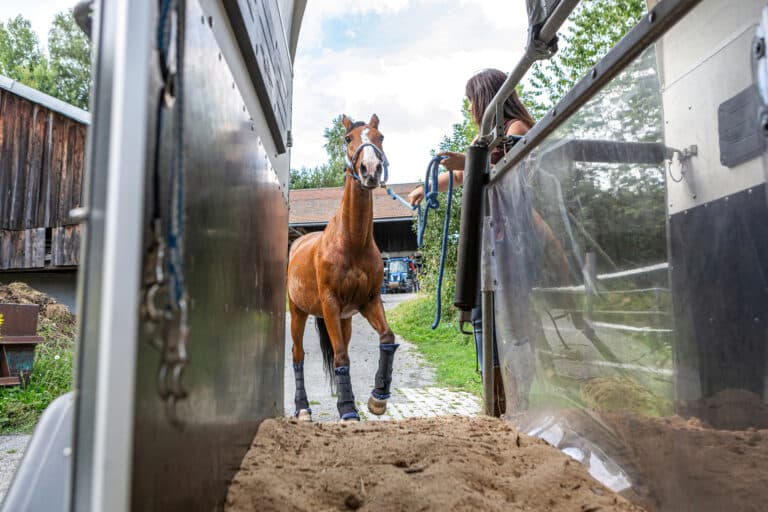 The Trainers Loft Horse Trailering Tips, Horsemanship basic handling: A woman loading her horse in a trailer. Horse transportation