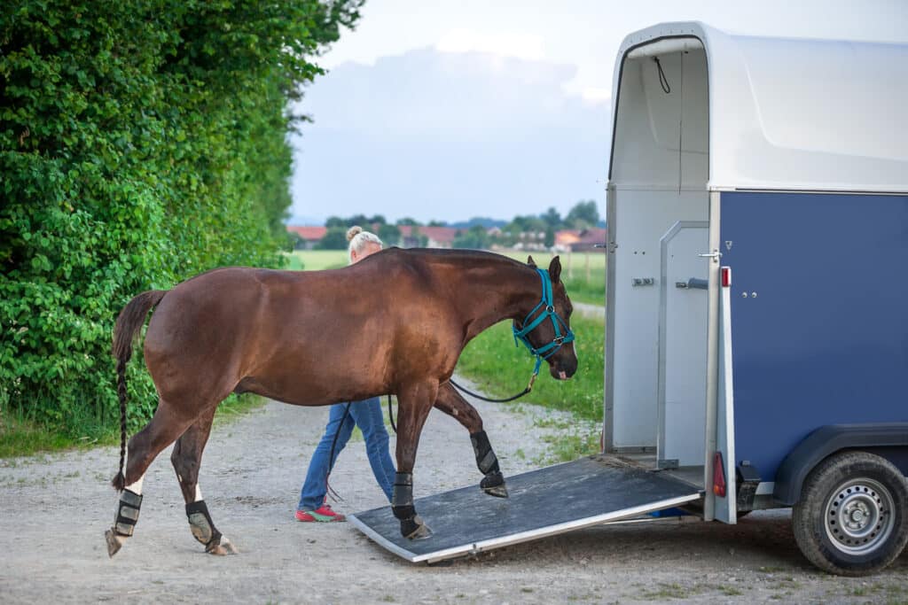 The Trainers Loft Horse Trailering Tips,