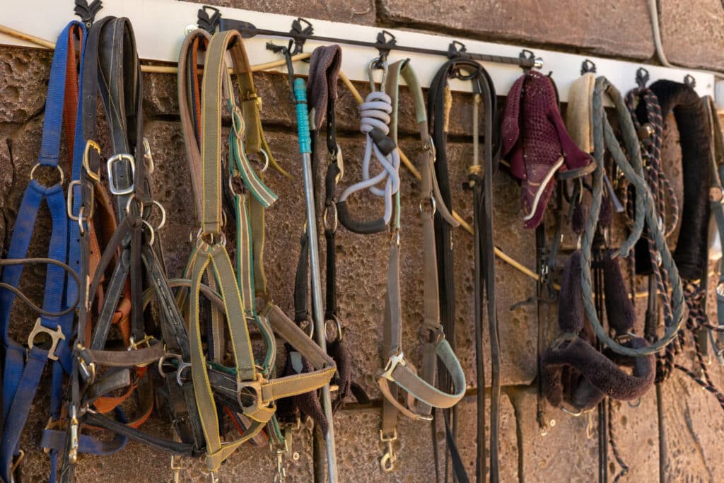 The Trainers Loft Tack Room Organization, A long row of horse halters and leads hangs neatly on a wall in a stable. The diverse assortment of colors and materials showcases the tools used for managing horses, reflecting the care and organization of the equine space.