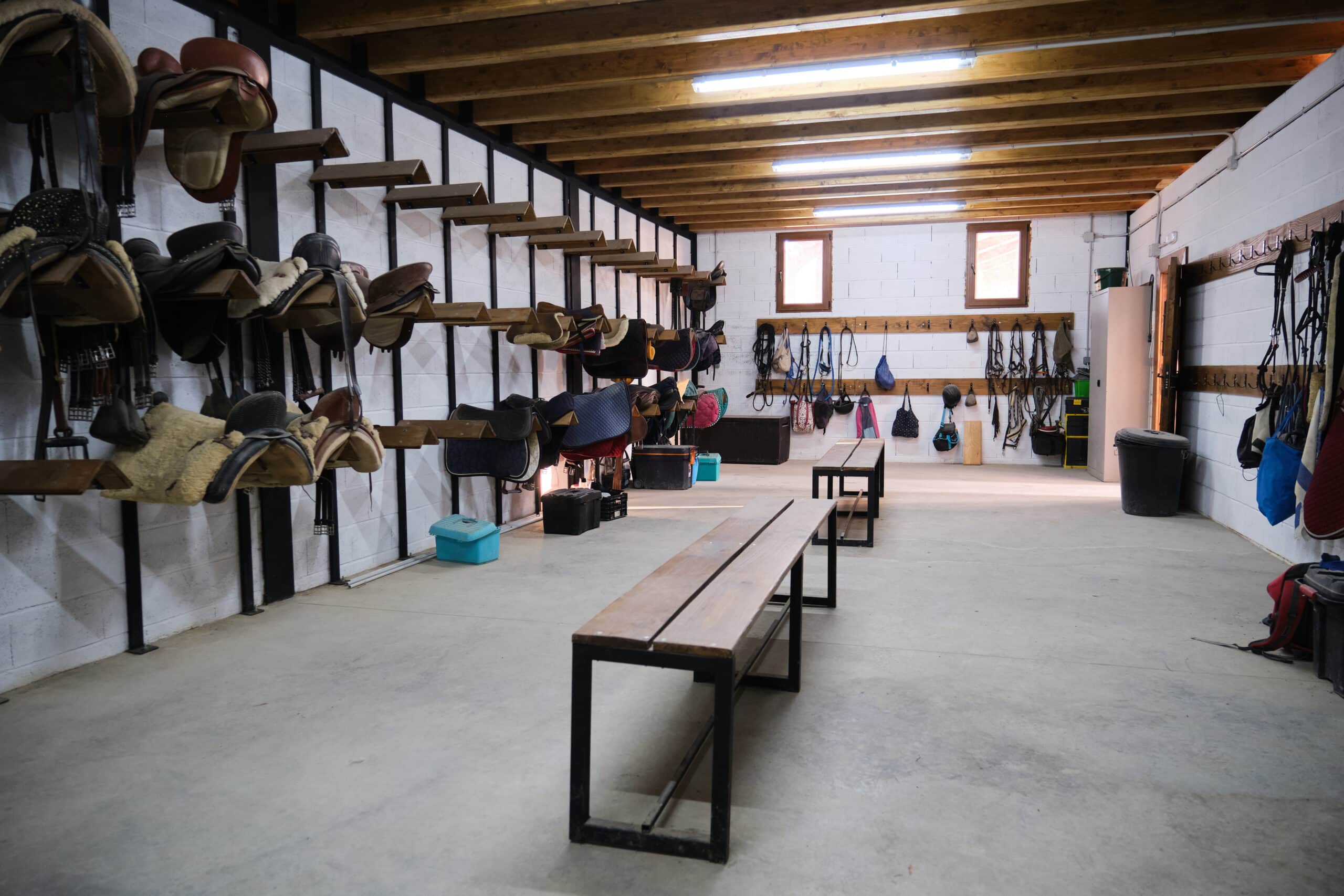 The Trainers Loft Tack Room Organization, Storage room with riding tack: horse saddles and bridles hanging on wall.