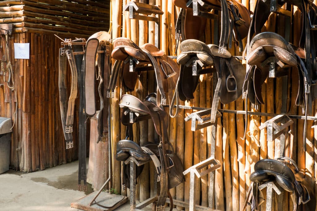 The Trainers Loft Tack Room Organization, Bangkok, Thailand - January 11, 2023 : Leather horse bridles and bits hanging on a wooden wall of stable at a horse farm.