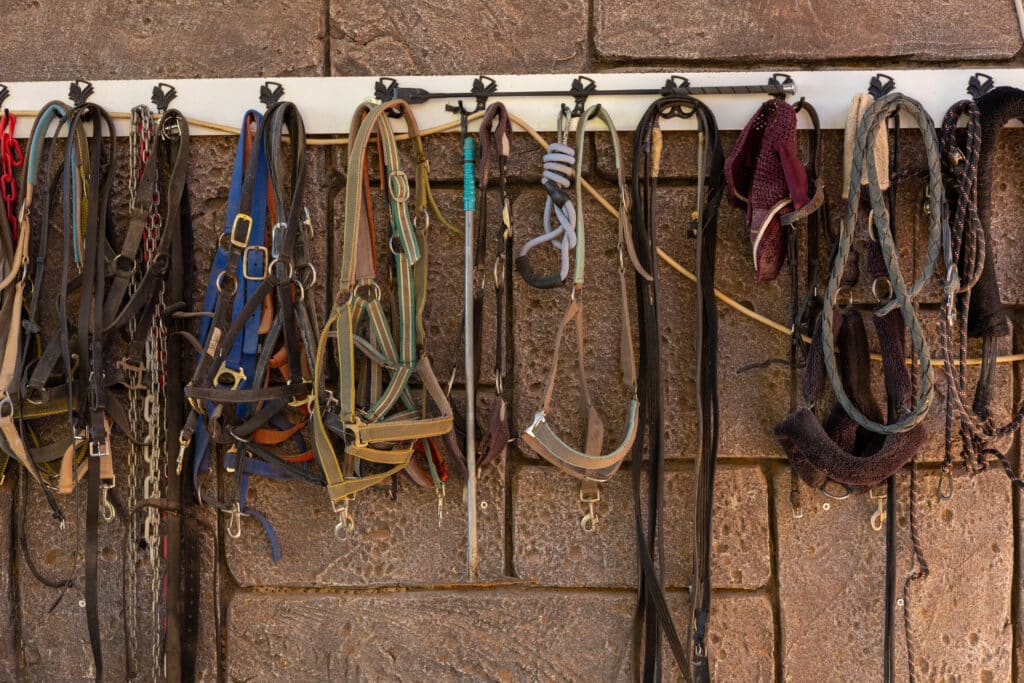 The Trainers Loft Tack Room Organization, A long row of horse halters and leads hangs neatly on a wall in a stable. The diverse assortment of colors and materials showcases the tools used for managing horses, reflecting the care and organization of the equine space.