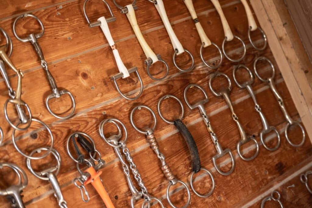The Trainers Loft Tack Room Organization, Large Selection of Metal and Rubber Horse Bits Nicely Organized on Hooks on the Tack Room Wall in Sport Barn. Equestrian Equipment Theme.