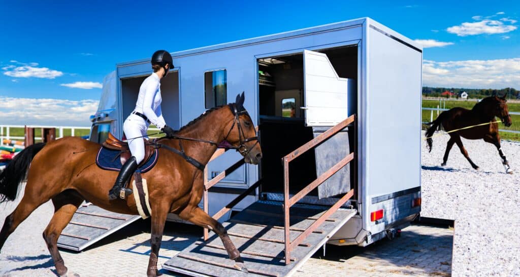 The Trainers Loft Horse Show Essentials, Horse transportation van . Funny horse transport . sports horse . the jockey rides a horse