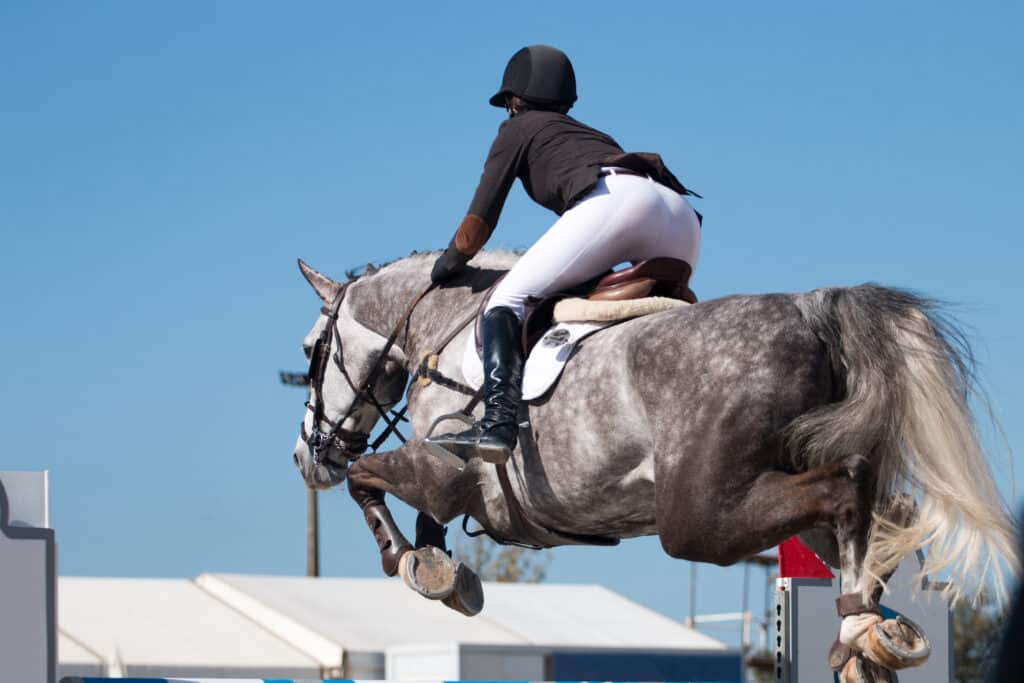 The Trainers Loft Horse Show Essentials, Athlete performing on a horse obstacle jumping competition.