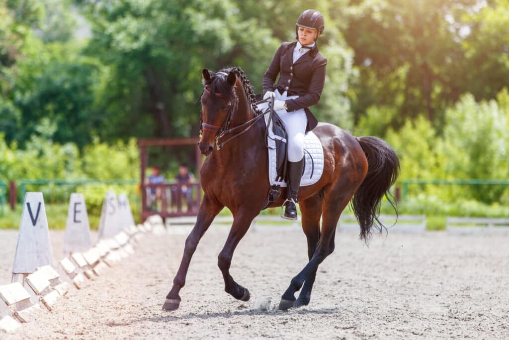The Trainers Loft Horse Show Essentials, Young woman riding horse on equestriansport competition in dressage advanced test
