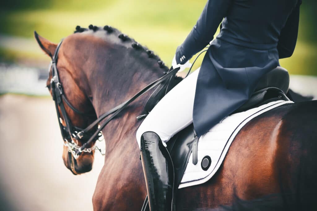 The Trainers Loft Horse Show Essentials, On a beautiful Bay horse with a braided mane in the saddle sits a rider in a blue suit and lacquered black boots.